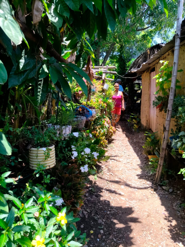 Huerta comunitaria en Saloa, César